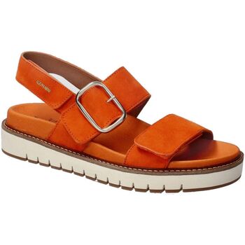 Schoenen Dames Sandalen / Open schoenen Mephisto Belona Orange
