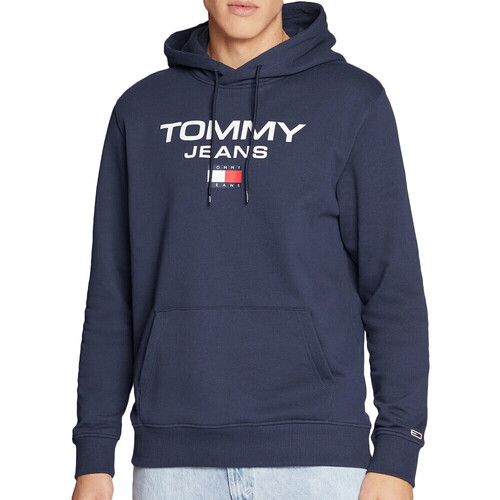 Textiel Heren Sweaters / Sweatshirts Tommy Hilfiger  Blauw