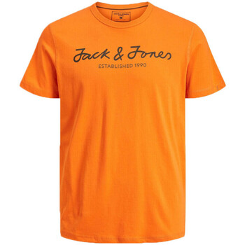 Textiel Jongens T-shirts & Polo’s Jack & Jones  Orange