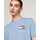 Textiel Heren T-shirts korte mouwen Tommy Hilfiger DM0DM18263C3S Blauw