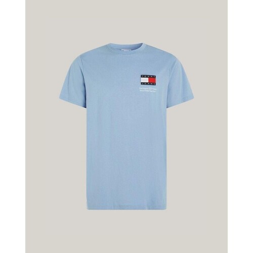 Textiel Heren T-shirts korte mouwen Tommy Hilfiger DM0DM18263C3S Blauw