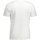Textiel Heren T-shirts korte mouwen Timberland TB0A2BRN Wit