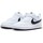 Schoenen Kinderen Sneakers Nike NIOS  COURT BOROUGH LOW RECRAFT DV5457 Wit