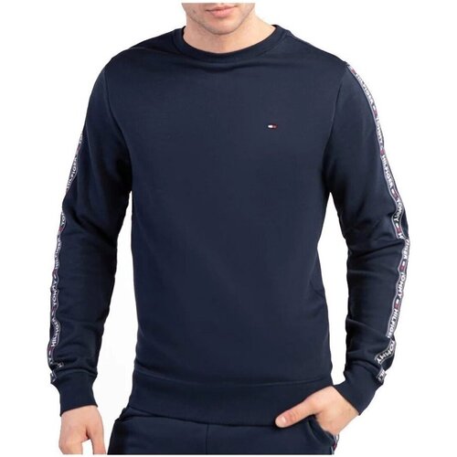 Textiel Heren Sweaters / Sweatshirts Tommy Hilfiger UM0UM00705416 Blauw