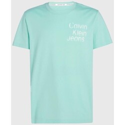 Textiel Heren T-shirts korte mouwen Calvin Klein Jeans J30J325189CCP Blauw