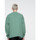 Textiel Heren Sweaters / Sweatshirts Santa Cruz Classic label crew Groen
