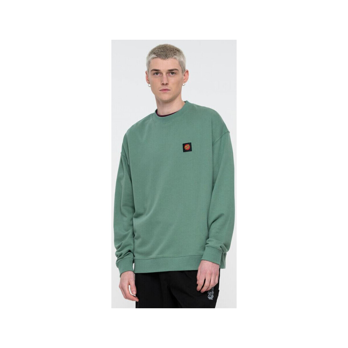 Textiel Heren Sweaters / Sweatshirts Santa Cruz Classic label crew Groen