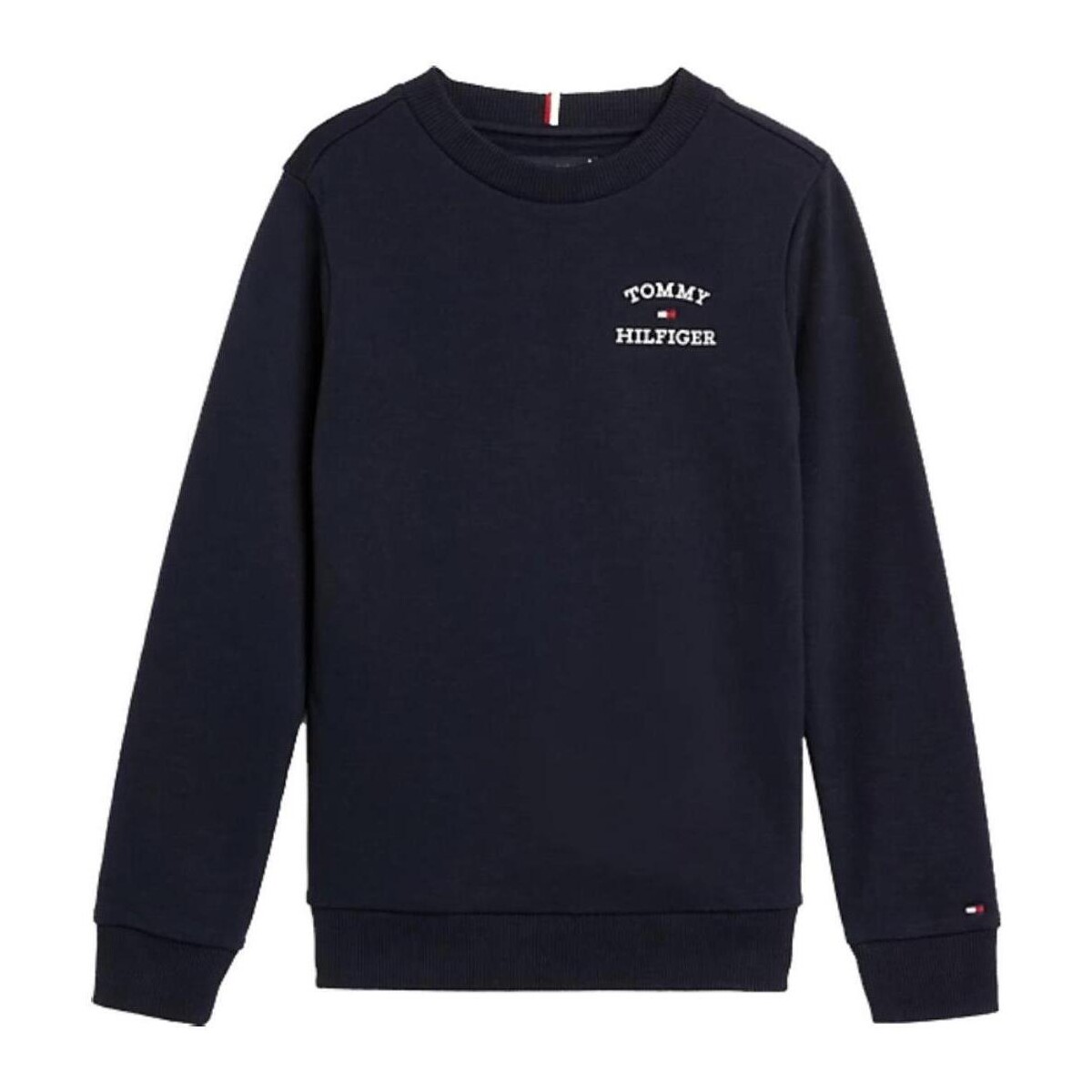 Textiel Jongens Sweaters / Sweatshirts Tommy Hilfiger  Blauw