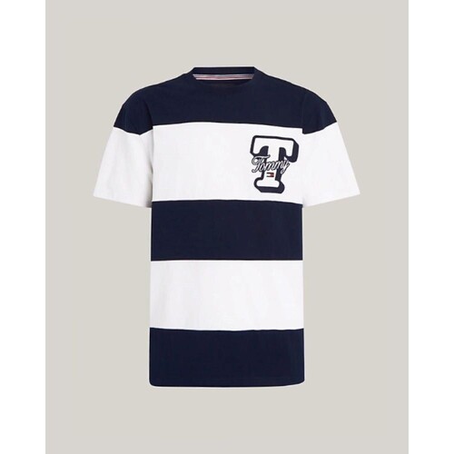 Textiel Heren T-shirts korte mouwen Tommy Hilfiger DM0DM18674C1G Multicolour