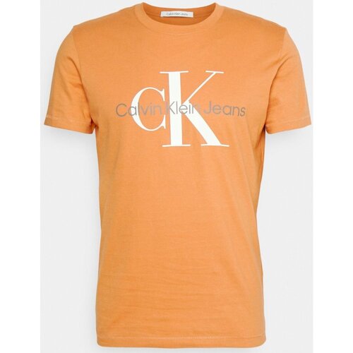 Textiel Heren T-shirts korte mouwen Calvin Klein Jeans J30J320806 Orange
