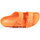Schoenen Dames Sandalen / Open schoenen Birkenstock Arizona Eva Orange