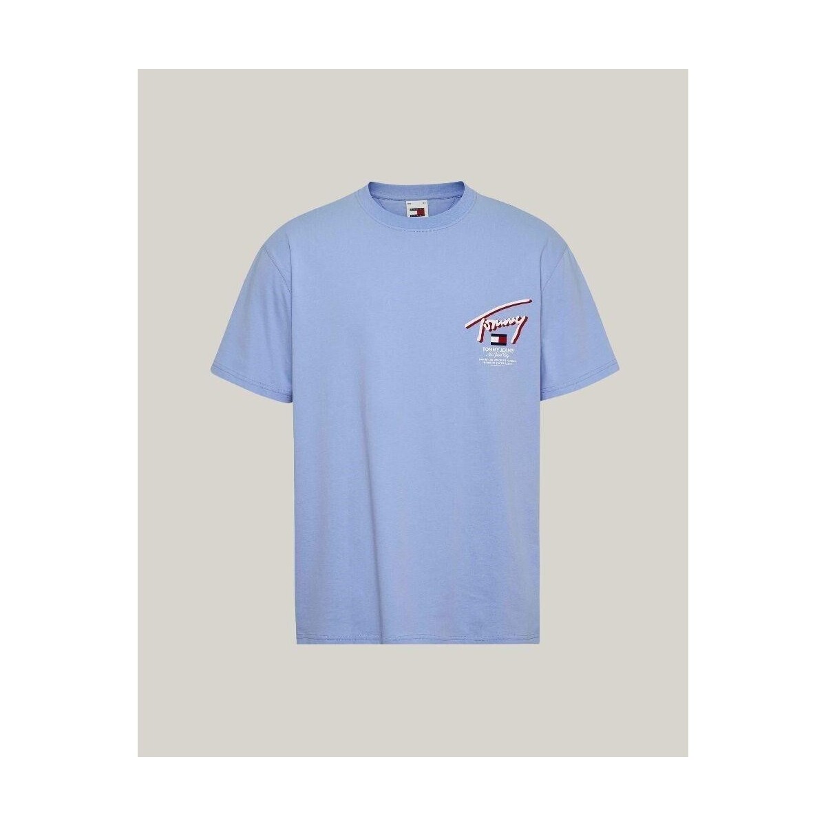 Textiel Heren T-shirts korte mouwen Tommy Hilfiger DM0DM18574C3S Blauw