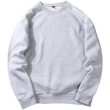 Textiel Heren Sweaters / Sweatshirts Amato WY19 Grijs