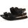 Schoenen Dames Sandalen / Open schoenen Gioseppo AUSTELL Zwart