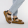 Schoenen Dames Sandalen / Open schoenen Gioseppo CHEVAL Brown