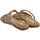 Schoenen Dames Sandalen / Open schoenen Gioseppo TEMELEC Brown