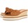 Schoenen Dames Sandalen / Open schoenen Gioseppo CAKRAN Brown
