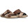 Schoenen Heren Sandalen / Open schoenen Arizona 69418 Brown