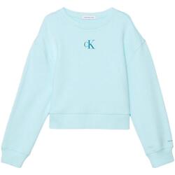 Textiel Meisjes Sweaters / Sweatshirts Calvin Klein Jeans  Blauw