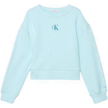 Textiel Meisjes Sweaters / Sweatshirts Calvin Klein Jeans  Blauw