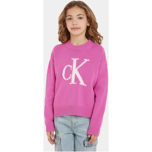 Textiel Kinderen T-shirts & Polo’s Calvin Klein Jeans IG0IG02220 Violet