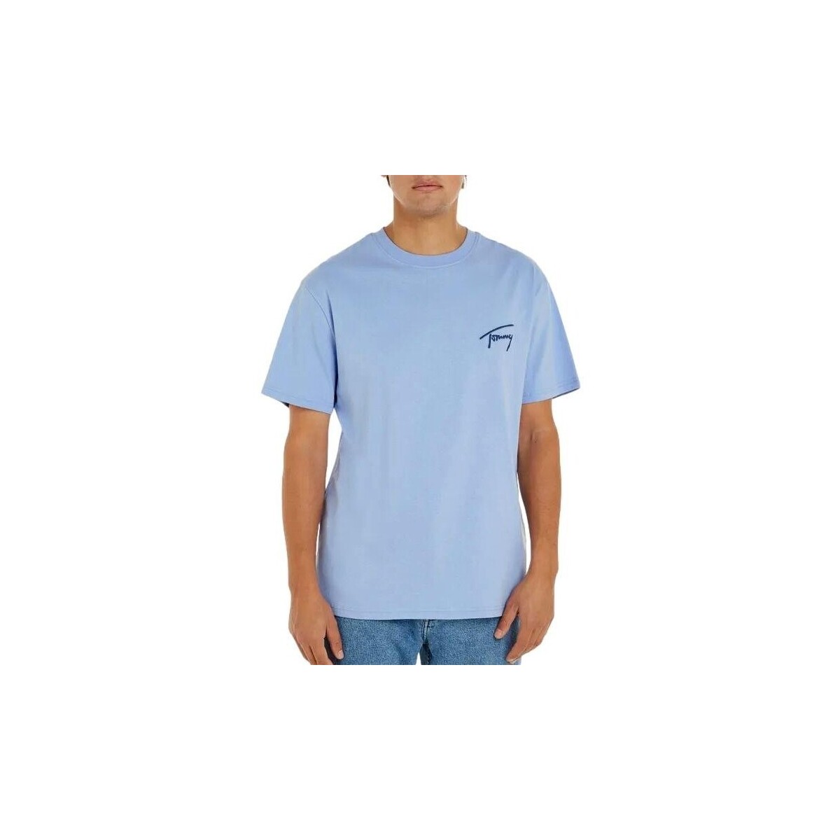 Textiel Heren T-shirts korte mouwen Tommy Jeans CAMISETA HOMBRE REG SIGNA TURE   DM0DM17994 Blauw