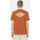 Textiel Heren T-shirts & Polo’s Dickies Ss ruston tee Brown