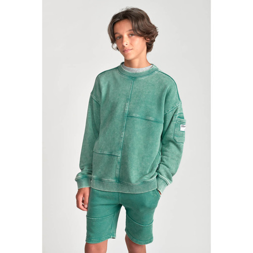 Textiel Jongens Sweaters / Sweatshirts Le Temps des Cerises Sweater JONBO Groen
