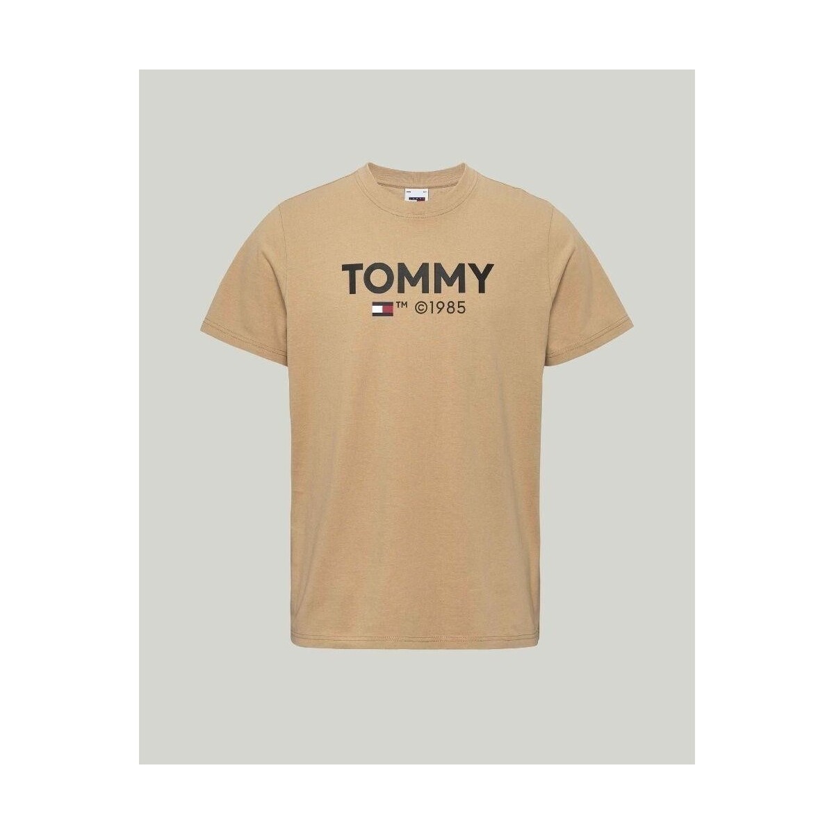 Textiel Heren T-shirts korte mouwen Tommy Hilfiger DM0DM18264AB0 Beige