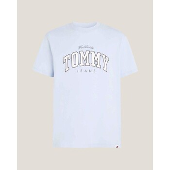 Textiel Heren T-shirts korte mouwen Tommy Hilfiger DM0DM18287C1O Blauw