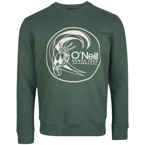 Textiel Heren Sweaters / Sweatshirts O'neill  Groen