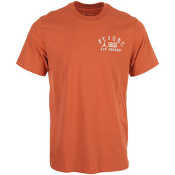 Textiel Heren T-shirts korte mouwen Nike M J Flt Artist Series Ss Crew Orange