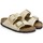 Schoenen Dames Sandalen / Open schoenen Birkenstock SANDALES  ARIZONA BIG BUCKLE Beige