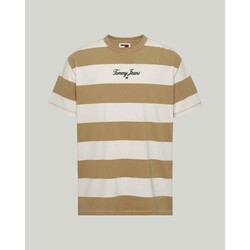 Textiel Heren T-shirts korte mouwen Tommy Hilfiger DM0DM18655AB0 Brown