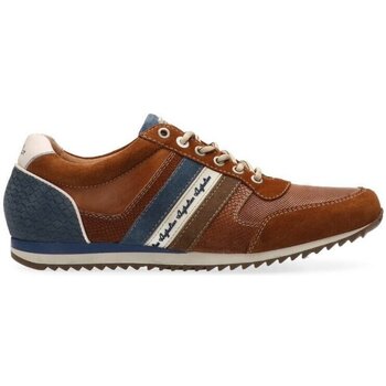 Schoenen Heren Sneakers Australian Camaro Brown