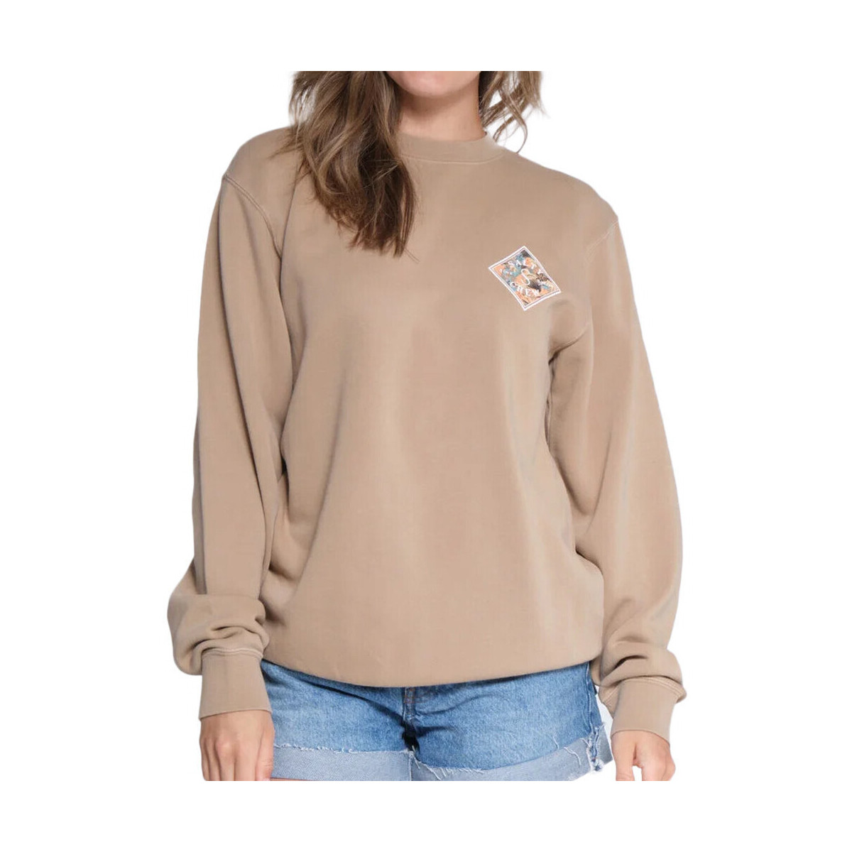 Textiel Dames Sweaters / Sweatshirts Salty Crew  Brown
