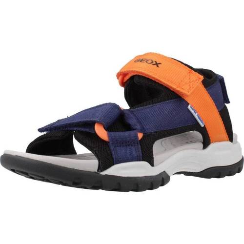Schoenen Jongens Sandalen / Open schoenen Geox J BOREALIS B Blauw