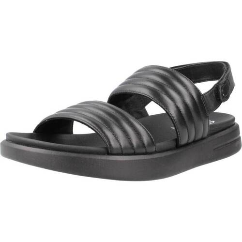 Schoenen Dames Sandalen / Open schoenen Geox D XAND 2S Zwart