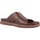 Schoenen Heren Sandalen / Open schoenen Clarks SUNDER WAVE Brown
