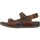 Schoenen Heren Sandalen / Open schoenen Clarks NATURE 5 TRAIL Brown