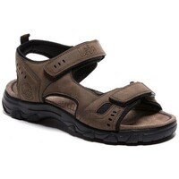 Schoenen Heren Sandalen / Open schoenen Lois 86056 Brown