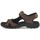 Schoenen Heren Sandalen / Open schoenen Ecco 690024 Brown