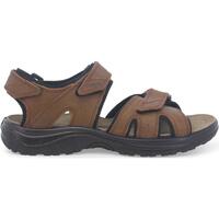 Schoenen Heren Sandalen / Open schoenen Melluso U55221W-233722 Brown