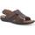 Schoenen Heren Sandalen / Open schoenen Melluso U75131W-232326 Brown