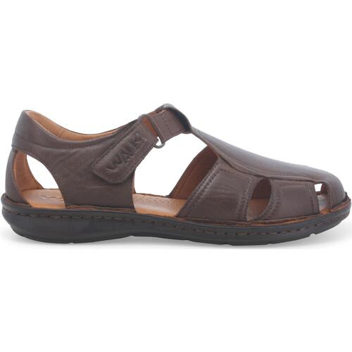 Schoenen Heren Sandalen / Open schoenen Melluso U75132W-232328 Brown