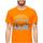 Textiel Heren T-shirts korte mouwen Superdry  Orange