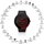Horloges & Sieraden Heren Horloges Platyne WAC_111 Zwart