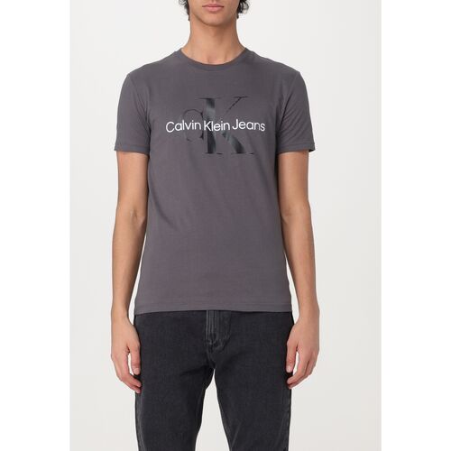Textiel Heren T-shirts & Polo’s Calvin Klein Jeans J30J320806 PSM Grijs