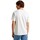 Textiel Heren T-shirts korte mouwen Pepe jeans CAMISETA CASUAL HOMBRE CLAUDE   PM509390 Wit