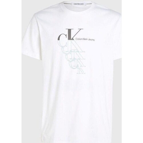 Textiel Heren T-shirts korte mouwen Calvin Klein Jeans J30J325352 Wit